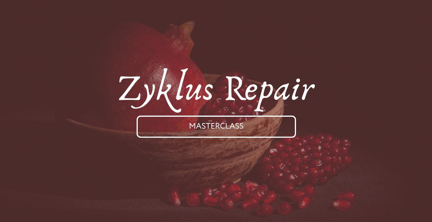 Zyklus Repair Masterclass