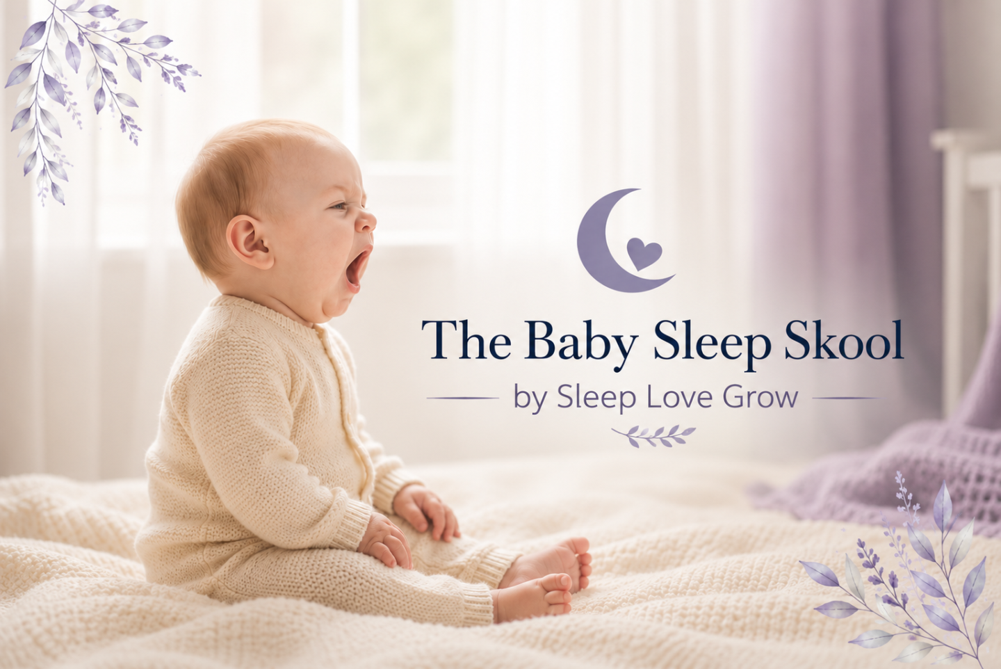 The Baby Sleep Skool