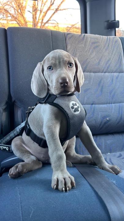 Juan Carlos Blanco Fernandez