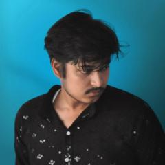 Salman Ansari
