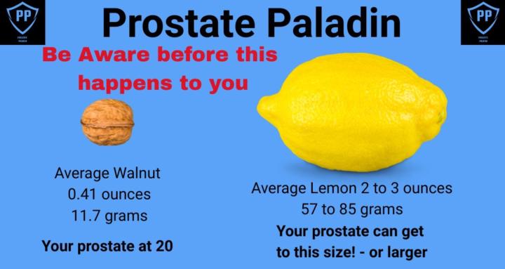 Prostate Paladin