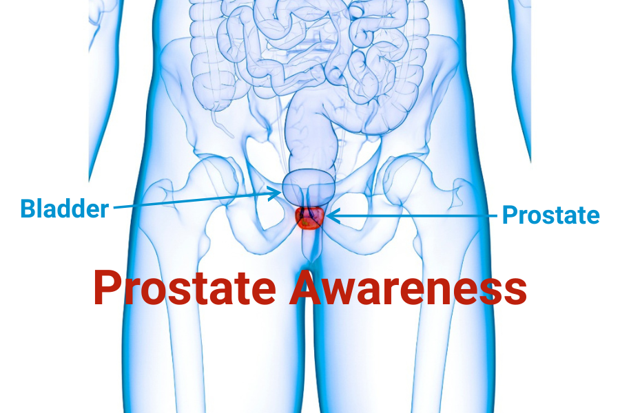 Prostate Paladin