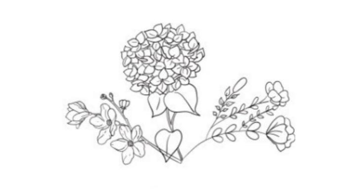 Blooming Meadows Farm