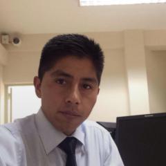 Luis Fernando Mamani Serrudo