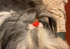 Jacquieriddell Riddell