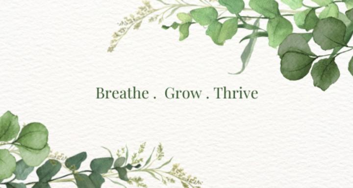 Calm Reset Collective