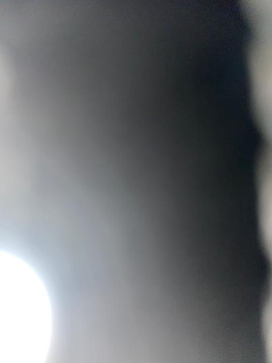 Lu Lu