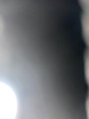Lu Lu