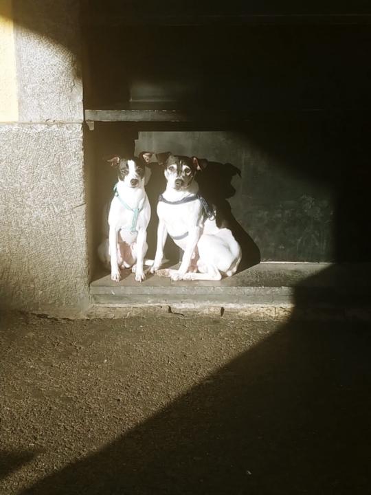 Naiara Olano nogales