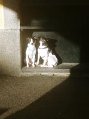 Naiara Olano nogales