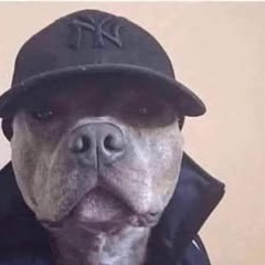 Mauricio Mancilla Alvarez