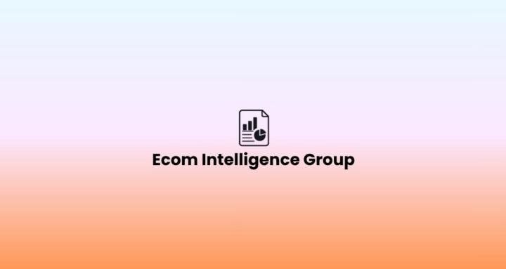 Ecom Intelligence Group