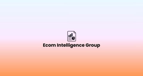 Ecom Intelligence Group gallery image