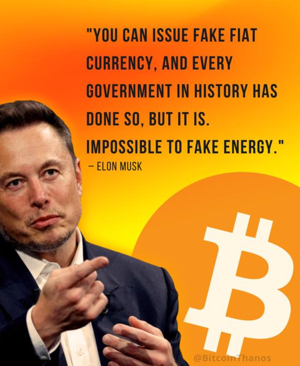 Elon Musk is pro bitcoin 
