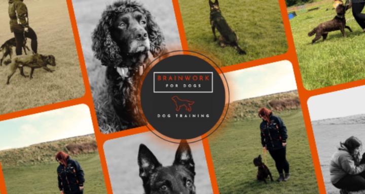 Brainwork for Dogs