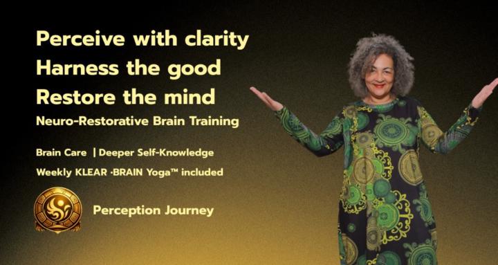 Perception Journey