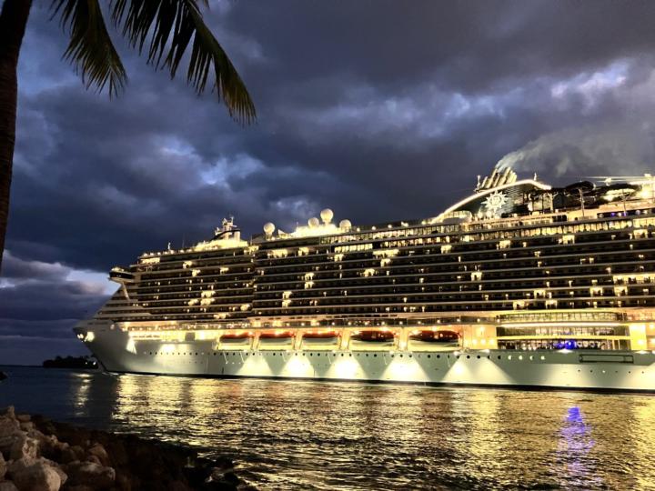 Black Feather In the Wind