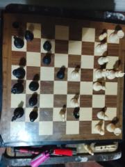 Mohamed Mohamed fadel nayem