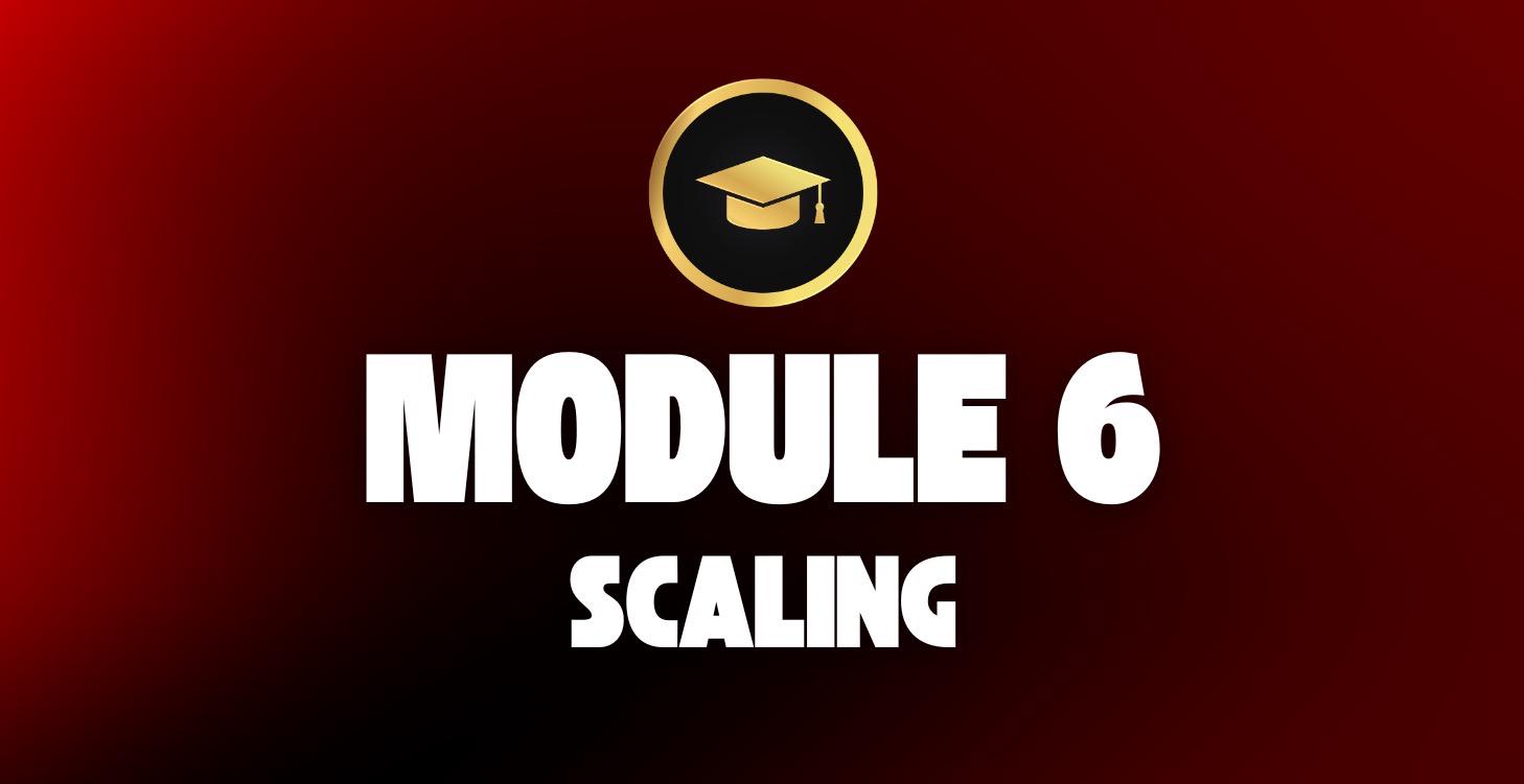 Créatube Pro™ : Module 6 - Stabilisation & Scaling