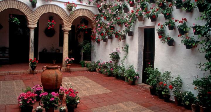 El Patio