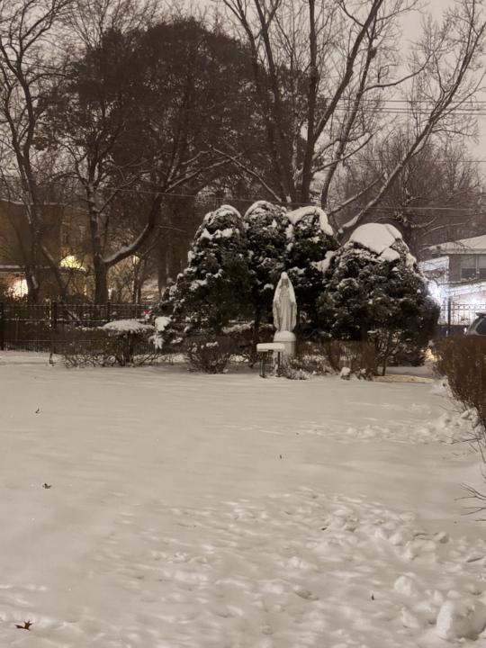 Sasha Alexander-Palmer