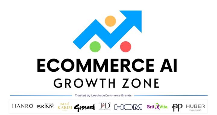 Ecommerce Ai Growth Zone