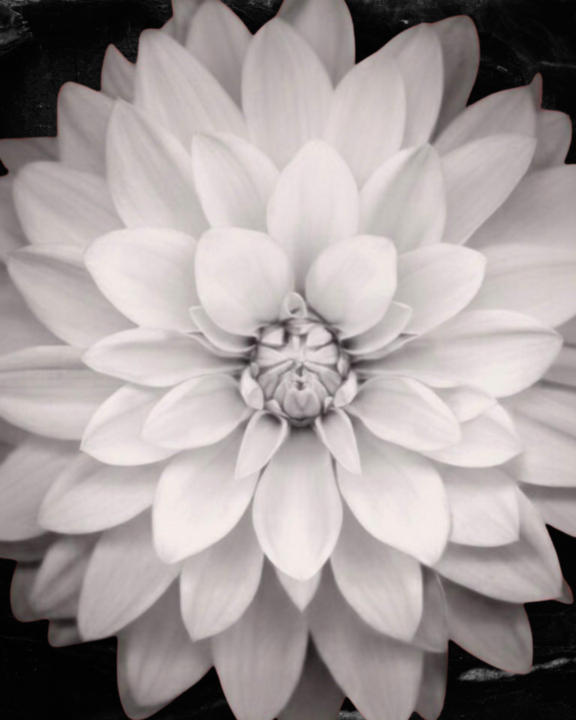 A Small Ask That Helps Us Grow