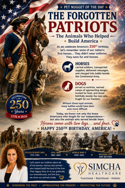 The Forgotten Patriots: Animals Who Helped Build America 🇺🇸