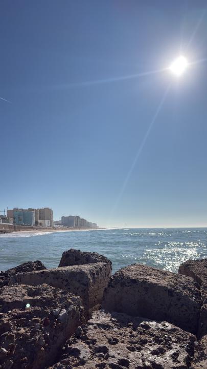 María Inmaculada Montes Gutiérrez