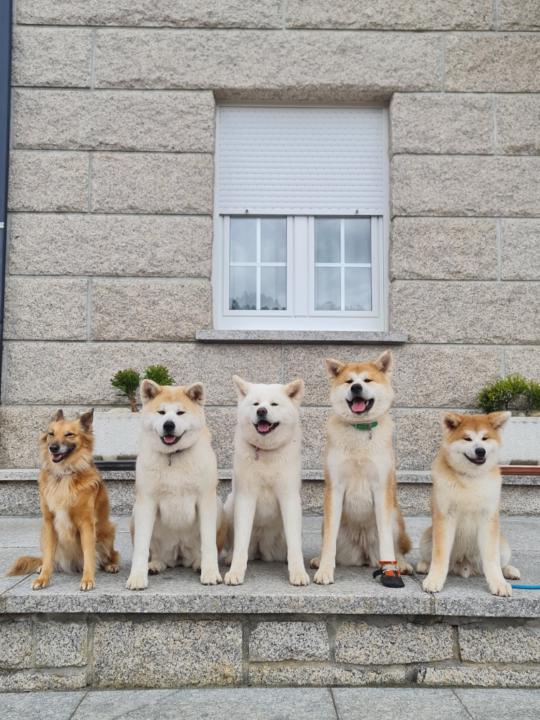 Denise Caamaño Gómez