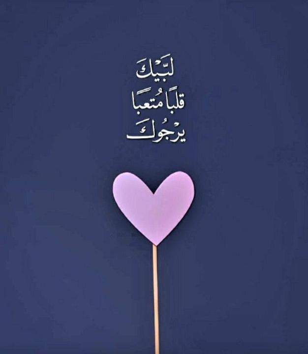 Elyounsi Amour