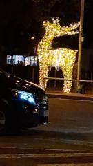 Rocio Aguilar Millan