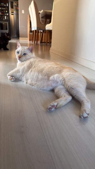 Bruno Russi