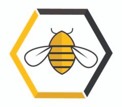 Bee Well Physical Therapy