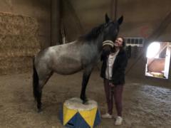 Georgia De Cristofaro