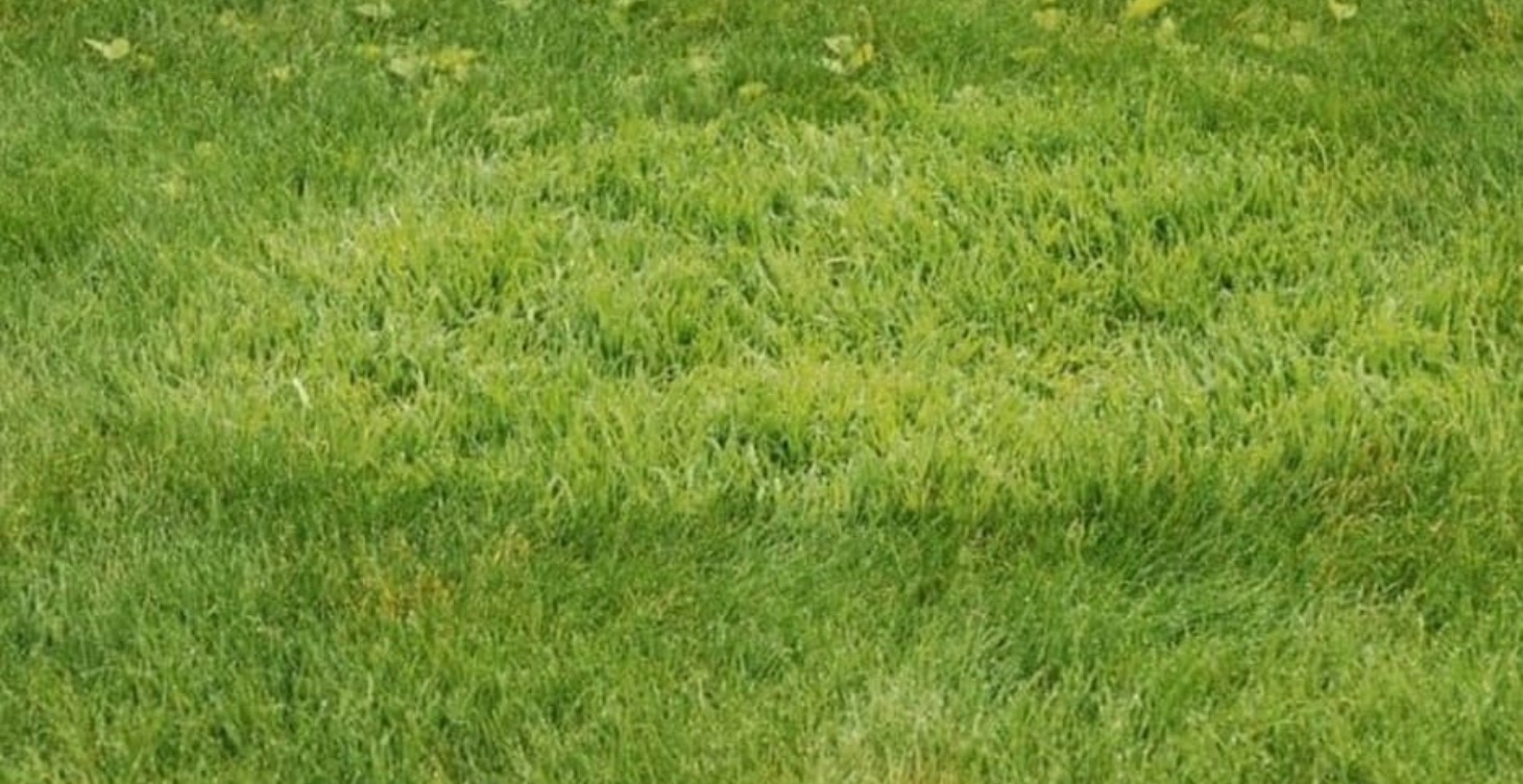 Grounding - Please Don’t Laugh LOL