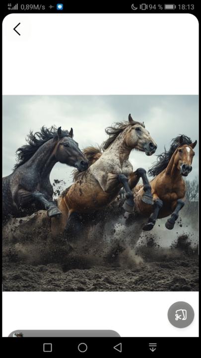 Francisco Javier Asensio Muñoz