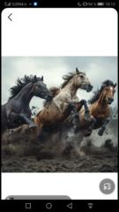 Francisco Javier Asensio Muñoz