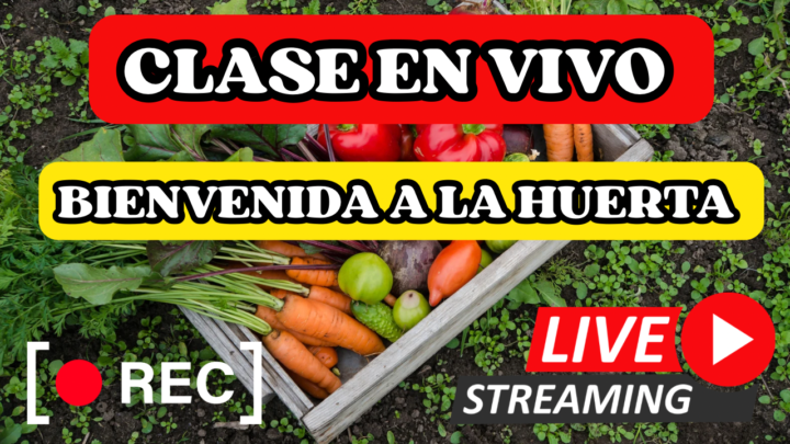 ‼️5 p.m CLASE en VIVO‼️