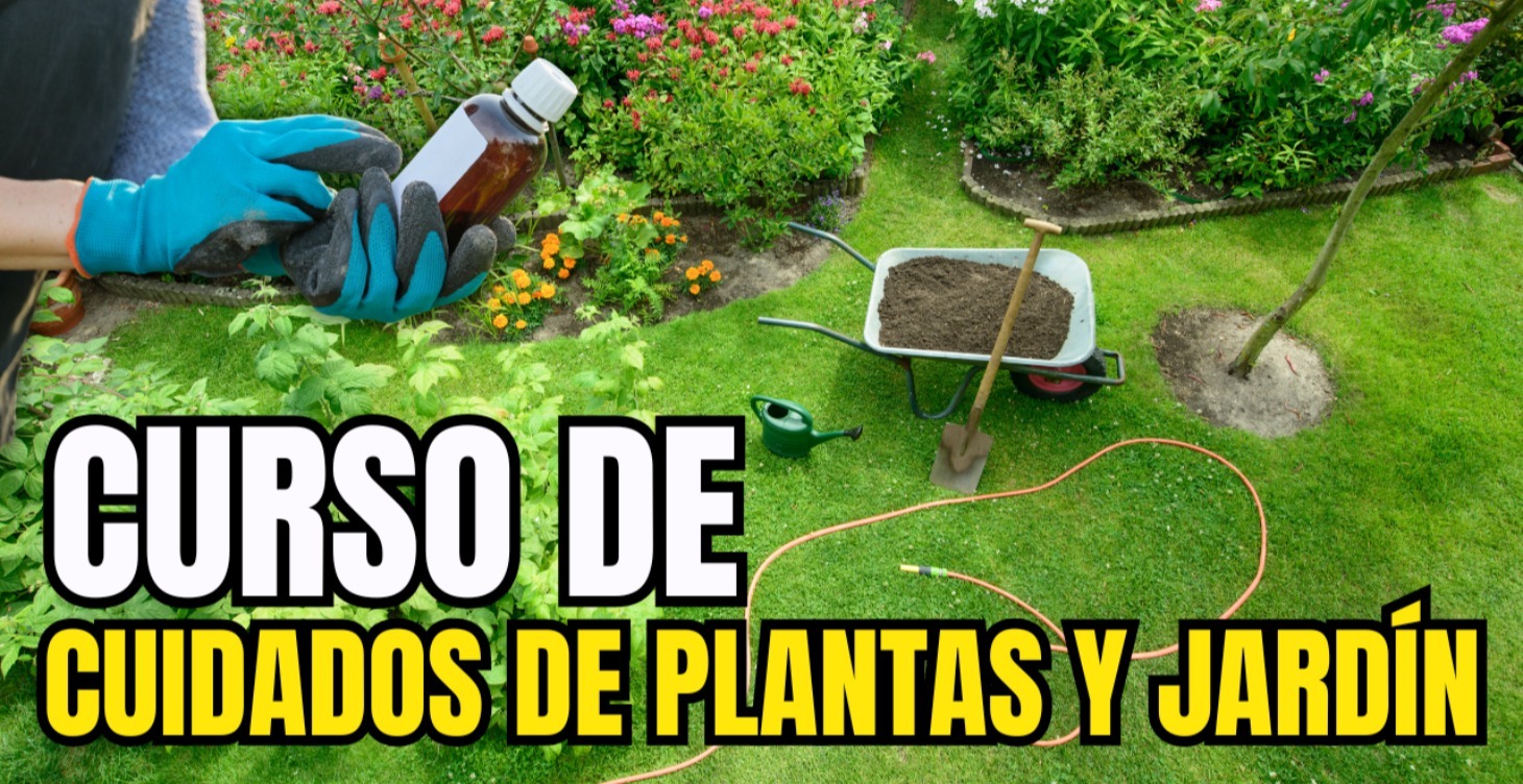 CUIDADO DE PLANTAS Y JARDÍN