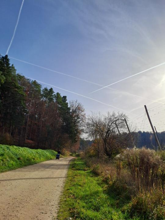 Christina und Matthias Dürmeyer