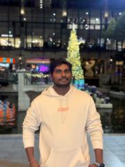 Venkata lakshmi narayana Tokala