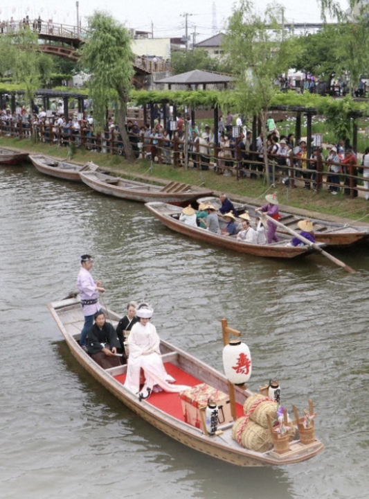 Free Guided Tour of Itako Iris Festival & Kashima Jingu Shrine!