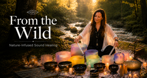 From the Wild - Sound Healing gallery image