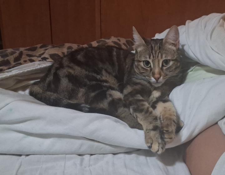 Clara Martínez Sánchez