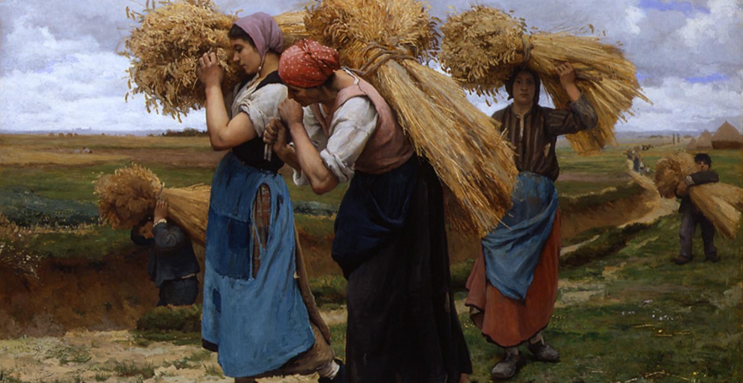 MODULE 03 — PROFESSIONAL LIFE