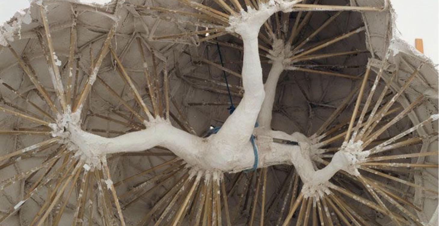 MODULE 04 — SUSTAINABILITY