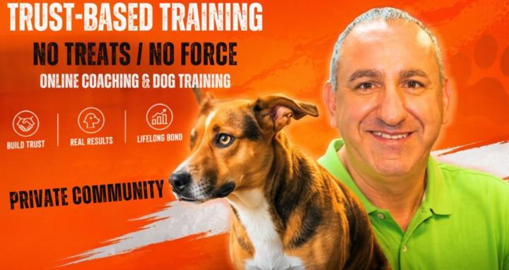 The Perfect Dog Club