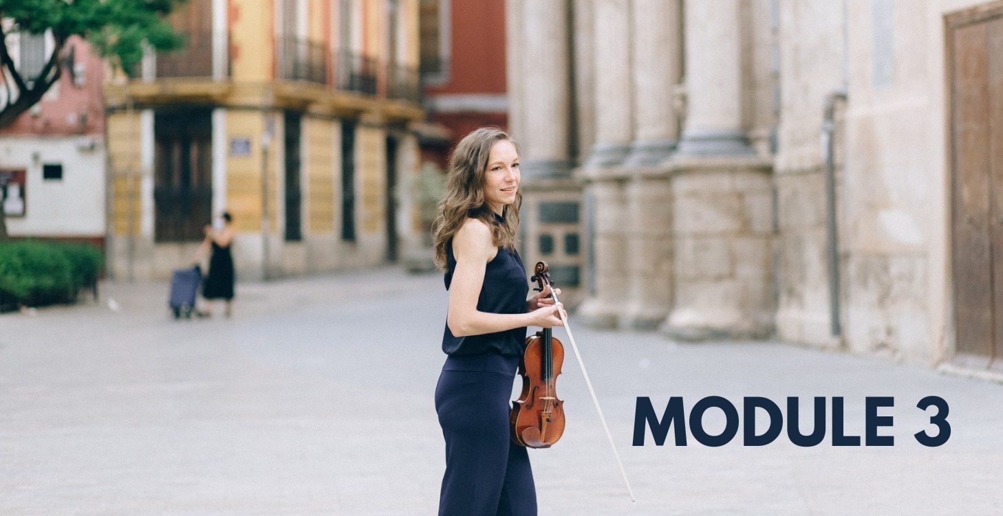 VIP 3: Master Harmony - MAÎTRISER L'HARMONIE