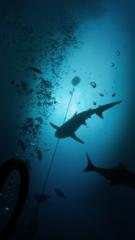 Edwin Jesus Castillo Magallanes